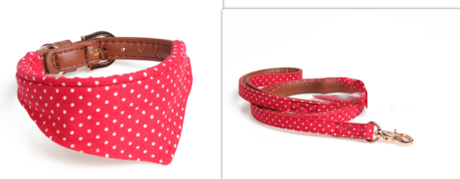 Polka Dot Dog Collar and Leash Set
