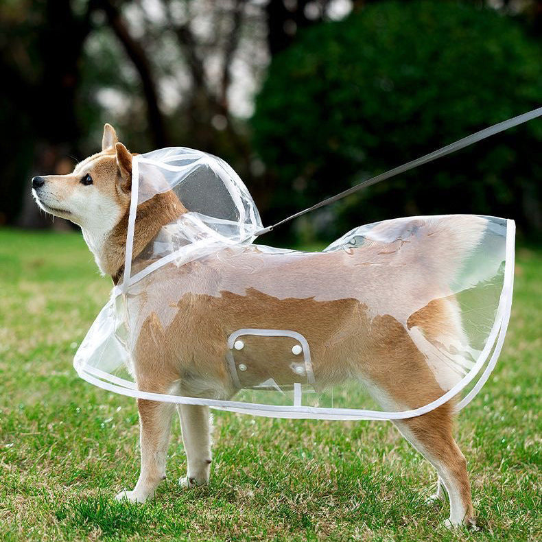 Clear Dog Raincoat with White Trim