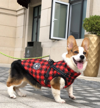 Winter Warm Hooded Dog Coat Jacket For Small Dogs
