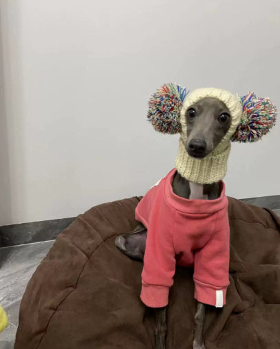 Hand Knitted Wool Dog Hat in Beige, Blue and Gray