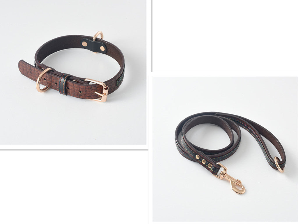 Durable Dog Collar and Leash Set in Multiple Colors
