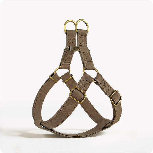 Dog Vest-Style Harness for Small & Medium Dogs