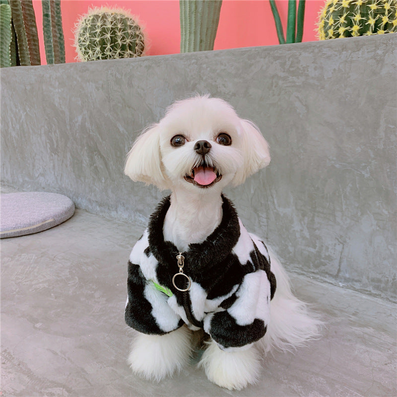 Warm Cartoon Coat for Small and Medium Dogs
