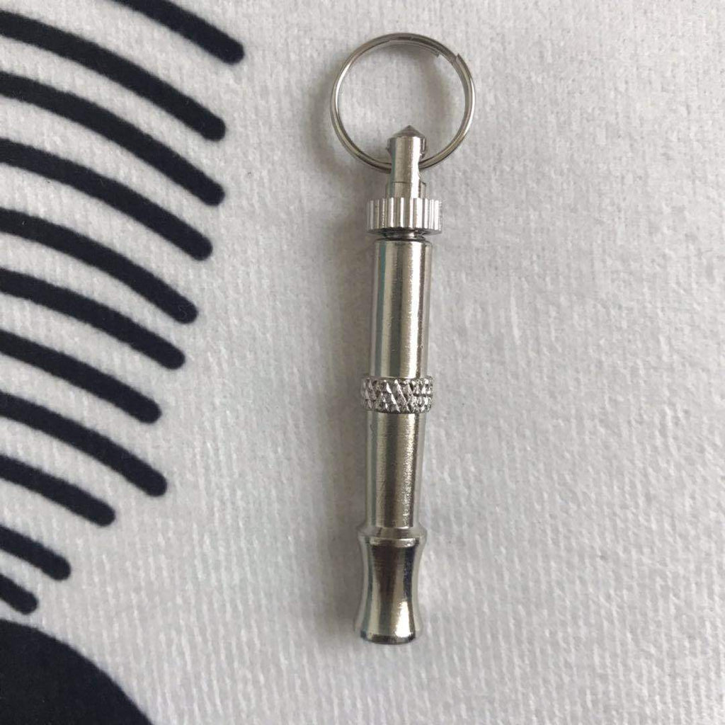 Silver Dog Training Whistle