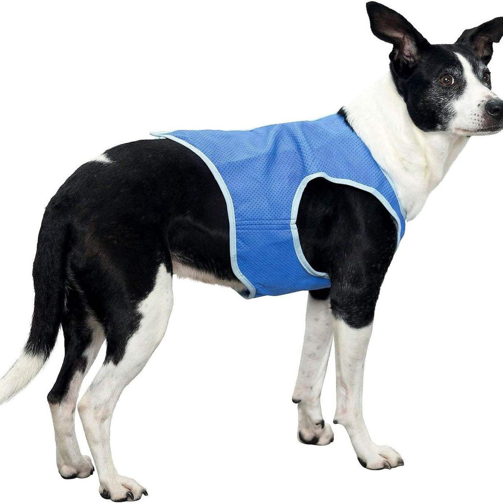 Lightweight Fabric Cooling Vest for Dogs