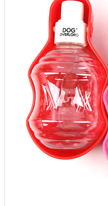 Portable Dog Water Bottle for Travel
