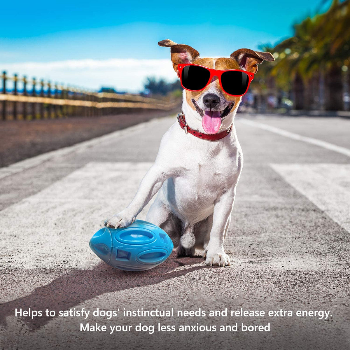 Rubber Rugby Chew Toy for Dogs