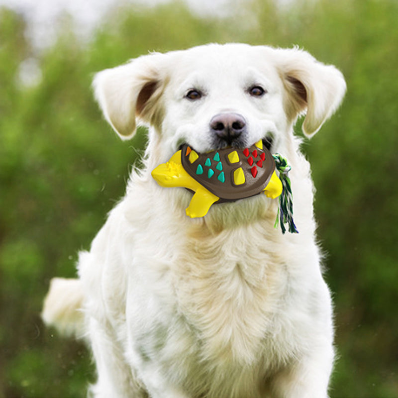 Textured Rubber Chew Toy in Chocolate, Grey, Blue, Yellow and Green