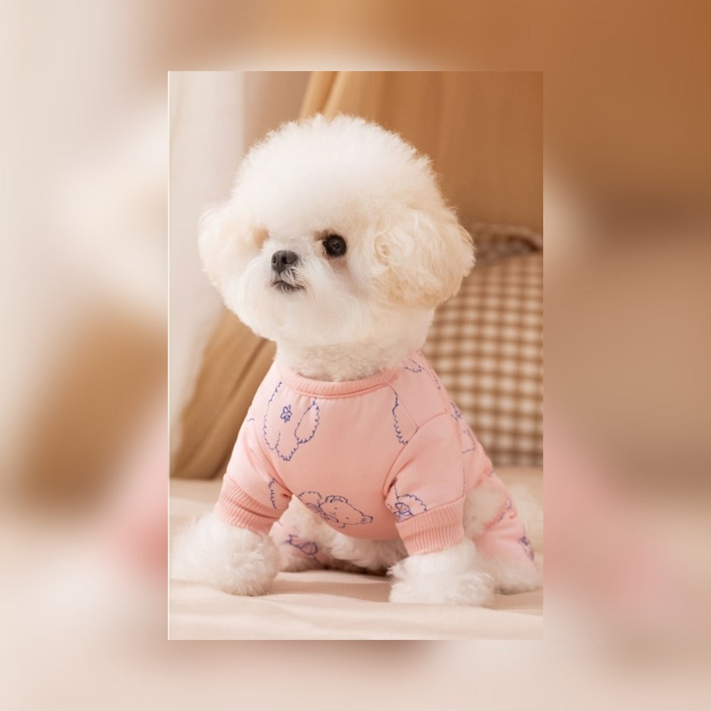 Small white dog wearing a pink four-leg cotton coat with a bear print