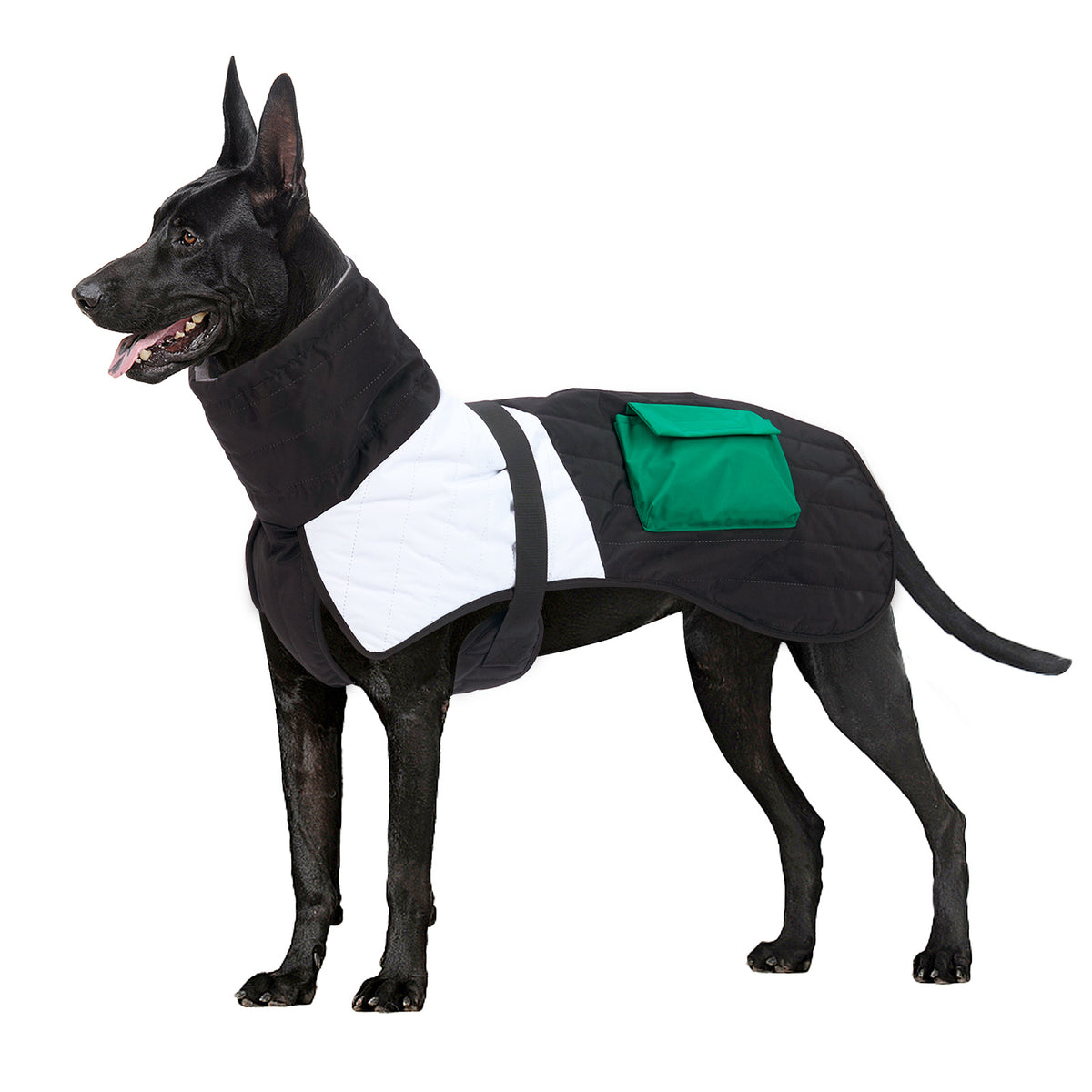 Winter Padded Dog Coat in Blue Red and Black White
