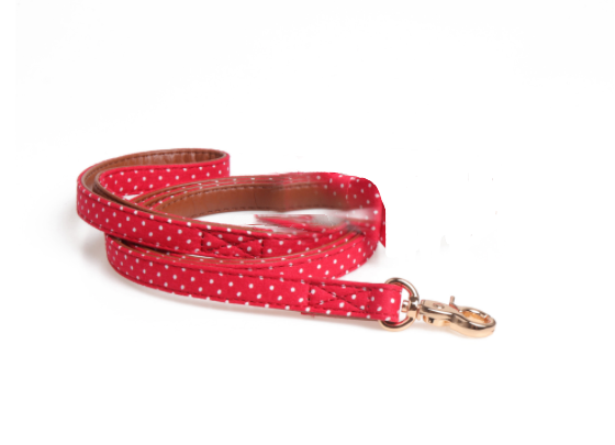 Polka Dot Dog Collar and Leash Set
