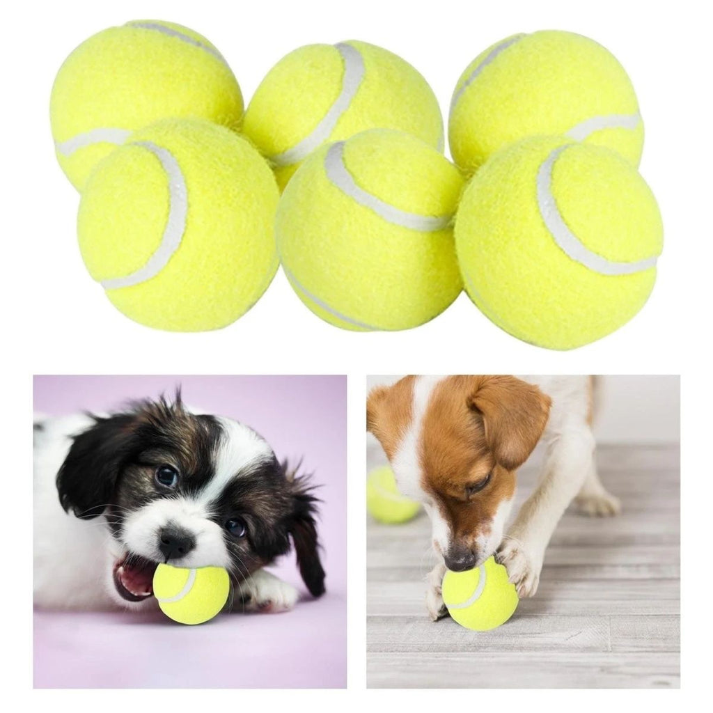 Bite Resistant Rubber Tennis Ball Dog Toy