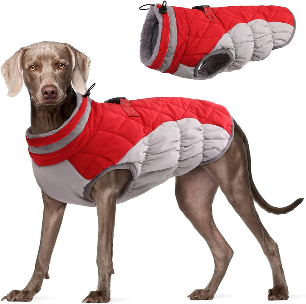 Windproof Padded Winter Dog Coat in 9 Colors