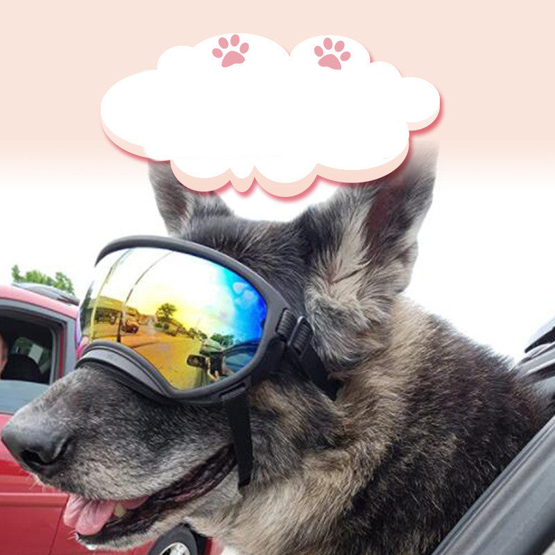Fashion Personality Dog Skiing Goggles