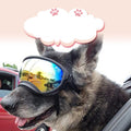Fashion Personality Dog Skiing Goggles