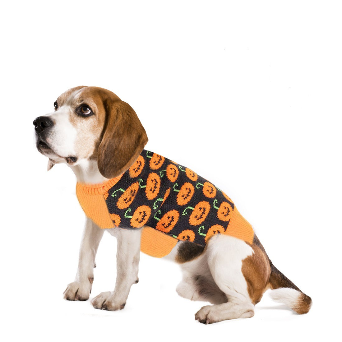 Cozy Autumn Winter Sweater for Dogs
