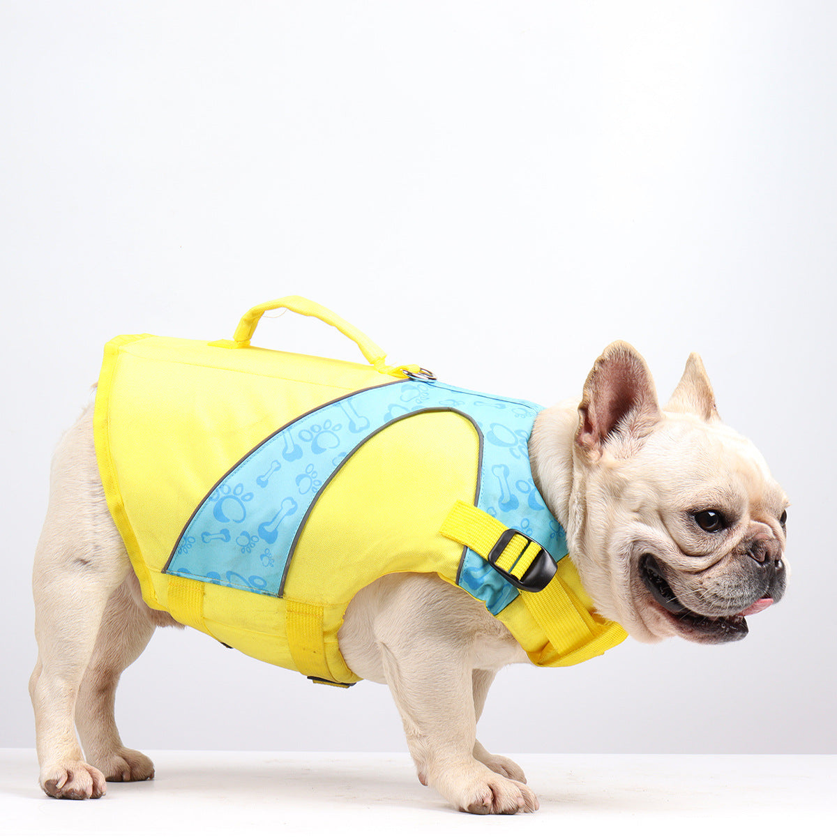 High-Contrast Yellow Dog Swim Vest