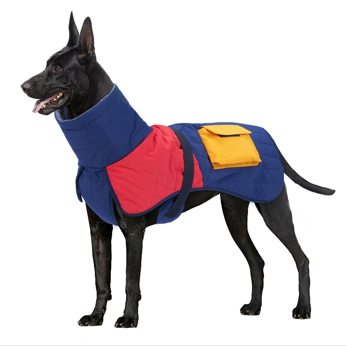 Winter Padded Dog Coat in Blue Red and Black White