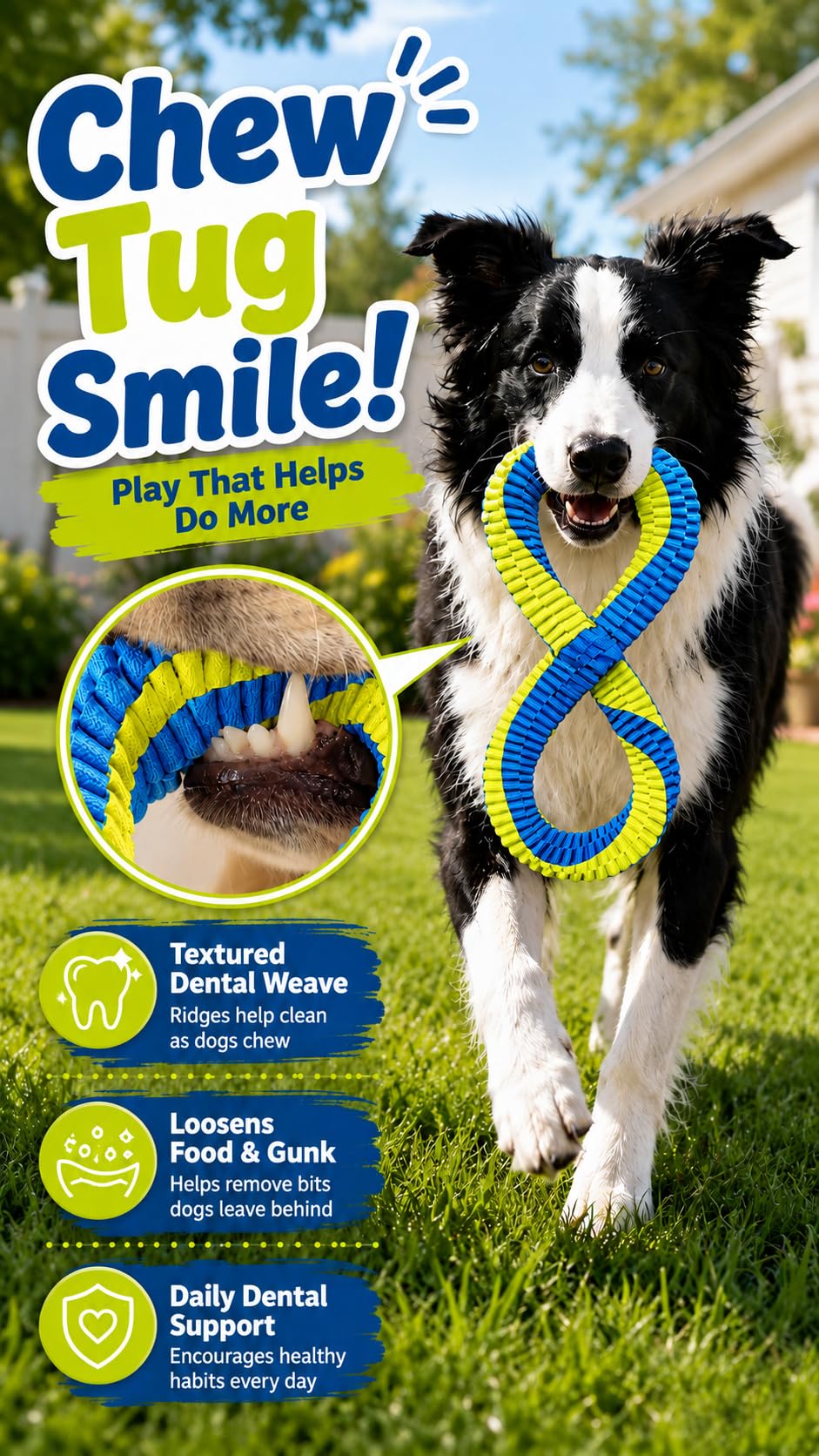 Blue Figure-8 Tug Toy for Dogs
