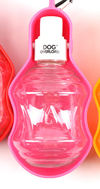 Portable Dog Water Bottle for Travel