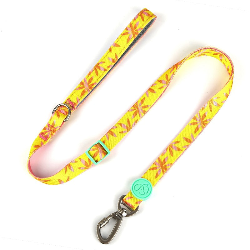 Dog Collar, Leash and Harness Set