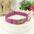 Elegant Dog Collar and Leash Set in Multiple Colors