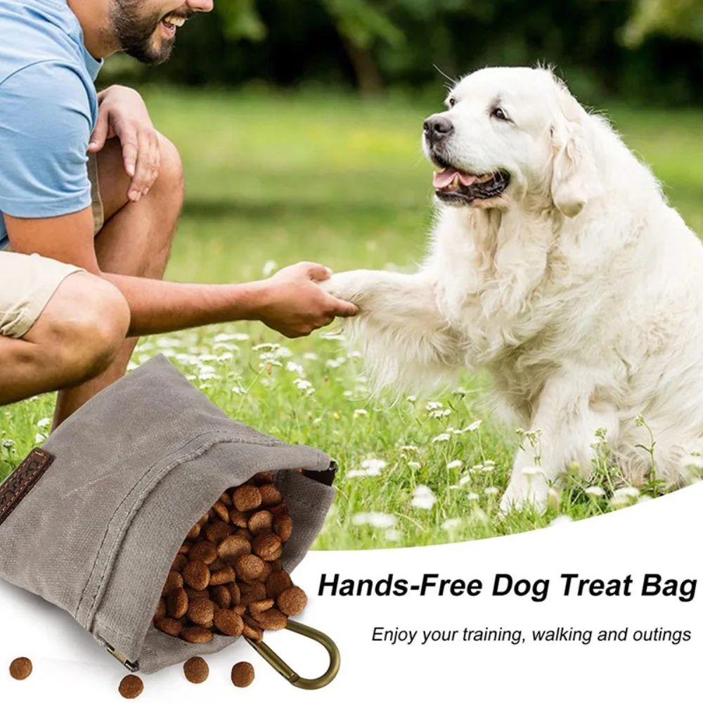 Portable Dog Treat Pouch With Carabiner in Gray, Brown, Green, Black