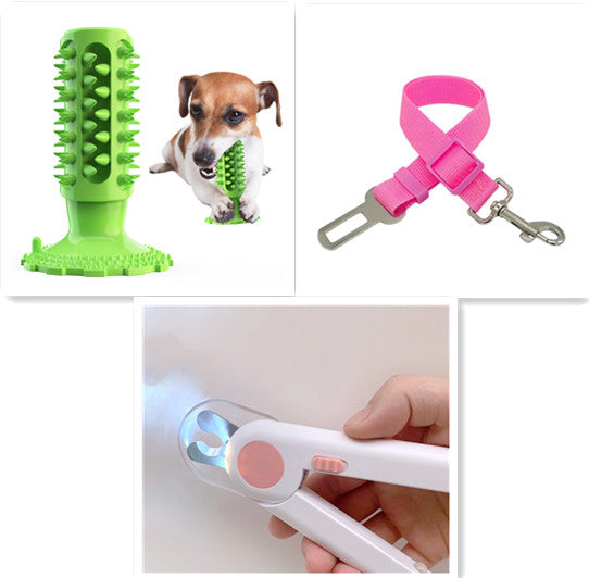 Toothbrush Stick for Dogs