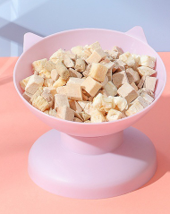 Elevated Double Dog Bowl