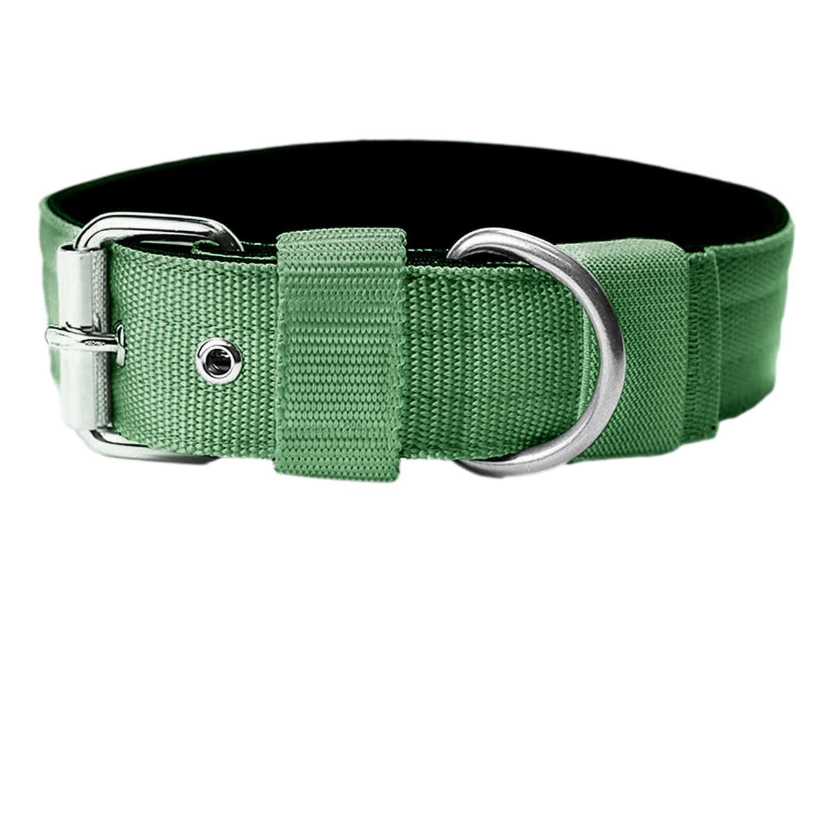 Padded Nylon Dog Collar - Green