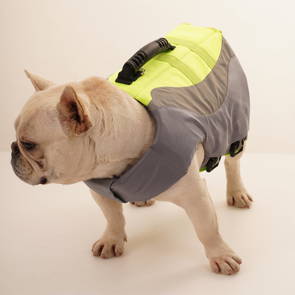 Reflective Dog Swimsuit Vest in Orange and Green