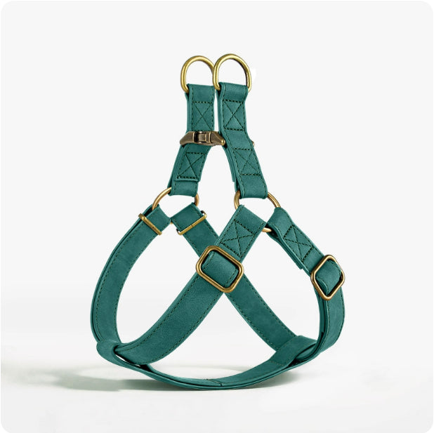 Dog Vest-Style Harness for Small & Medium Dogs