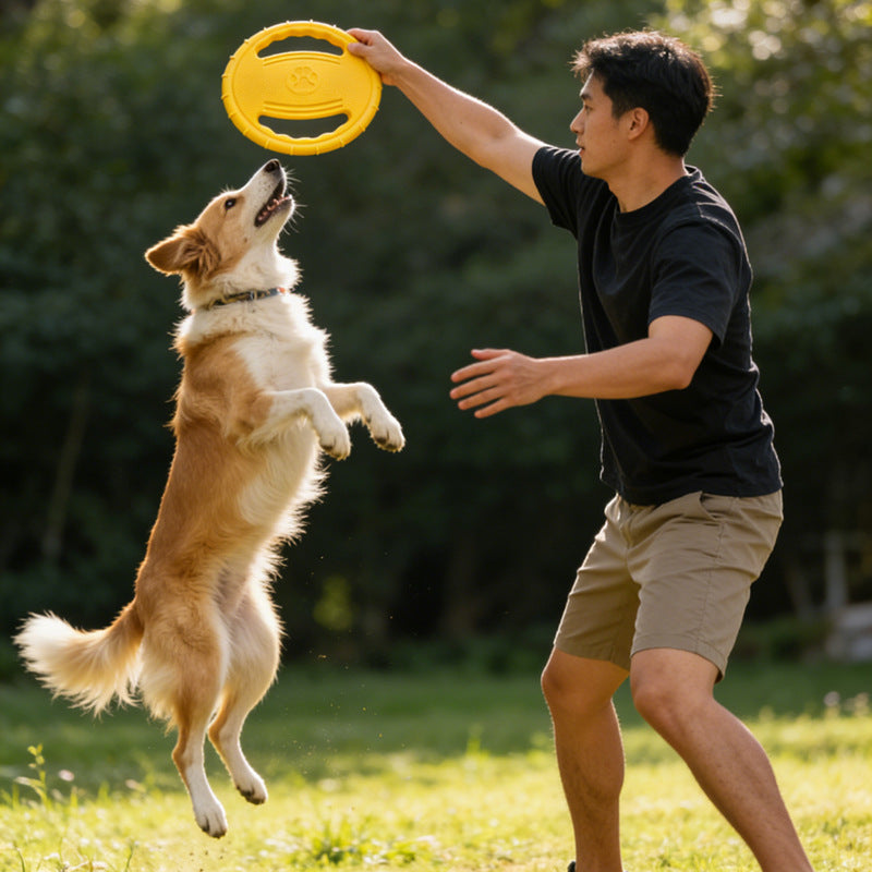 Flying Disc Toy with Paw Print in Yellow, Blue and Rose Red
