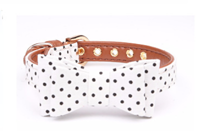Polka Dot Dog Collar and Leash Set