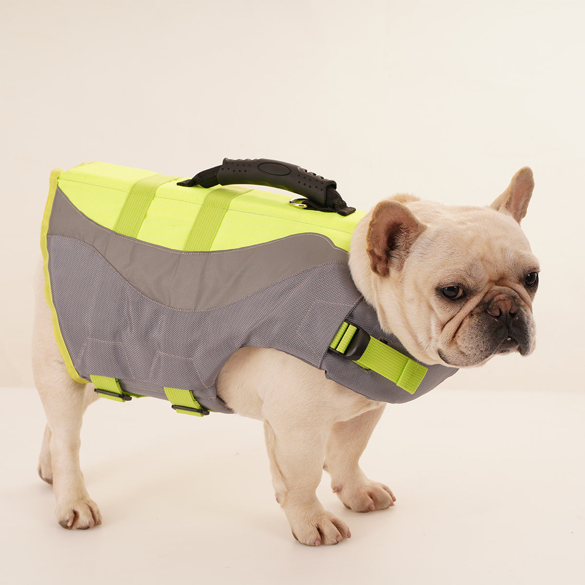 Reflective Dog Swimsuit Vest in Orange and Green