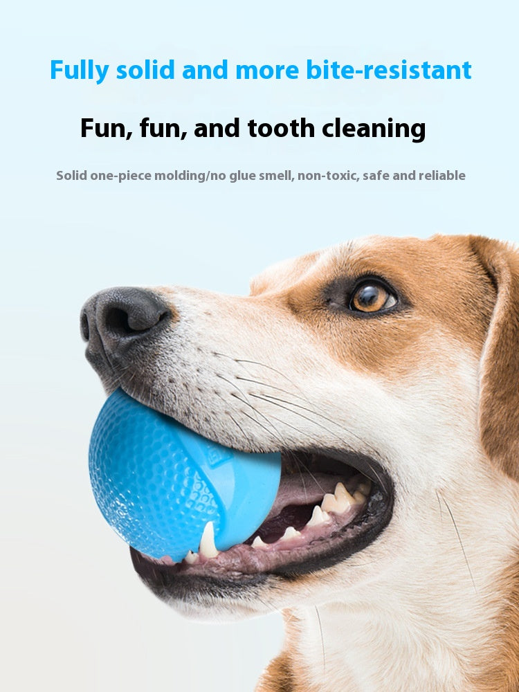 Luminous Rubber Molar Ball Dog Toy