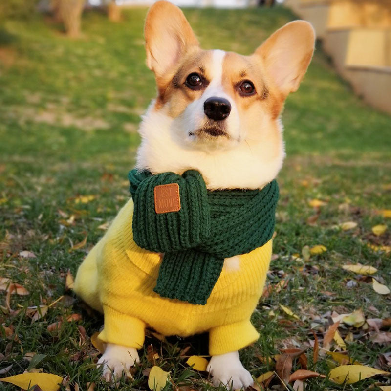 Colorful Dog Scarf in Blue, Red, Yellow, Green, and Ash