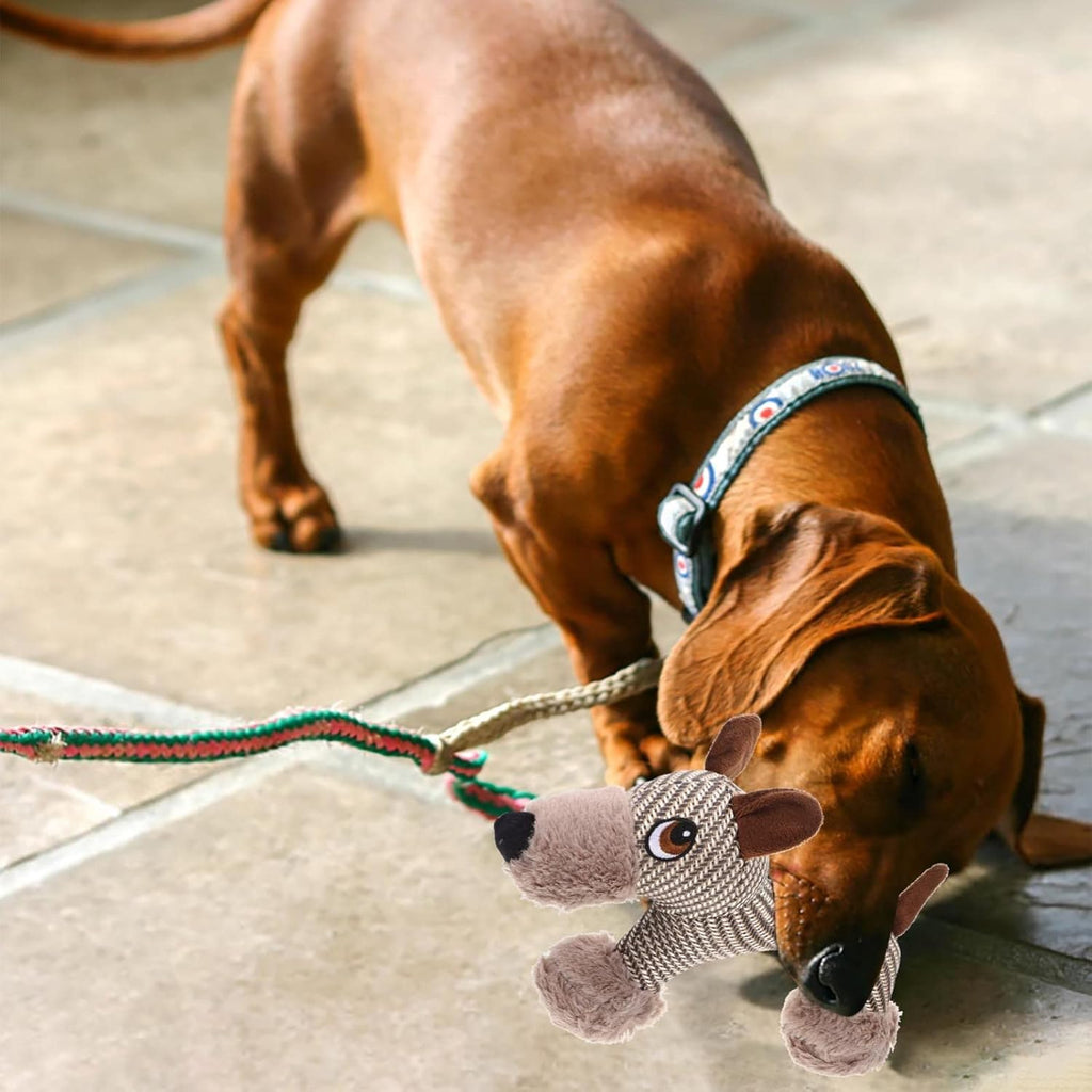 Large Squeaky Plush Dog Toy Puppy & Monkey