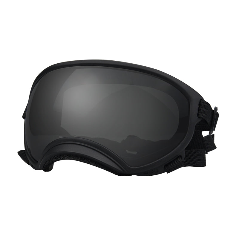Fashion Dog Skiing Goggles