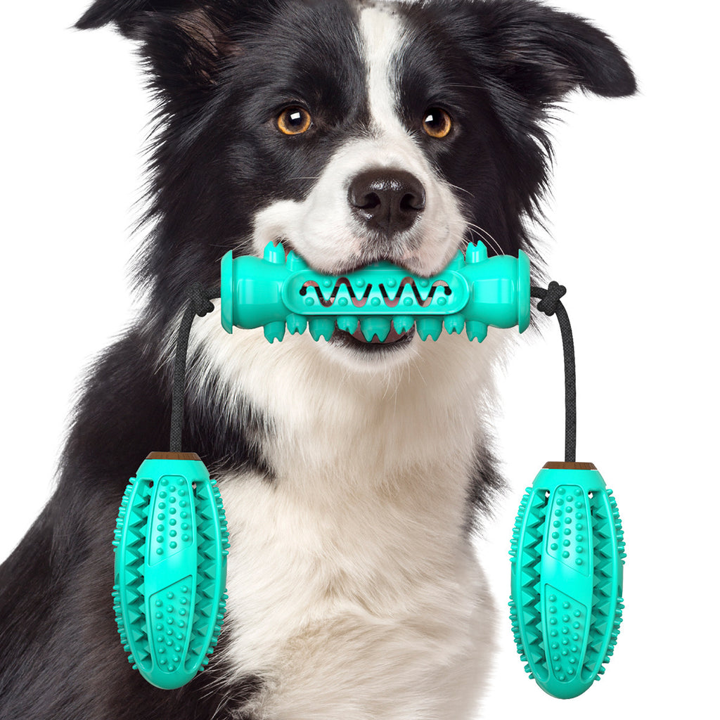 Durable Chew Stick Toy in Red, Blue, and Green