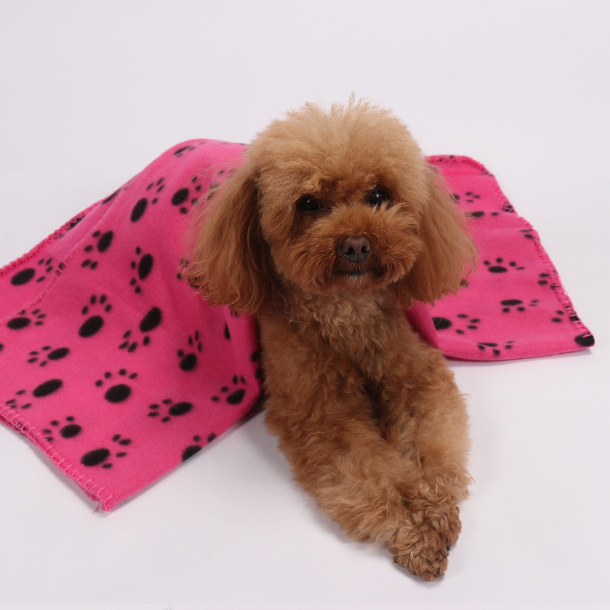 Dog Double-Sided Fleece Blanket with Paw Print