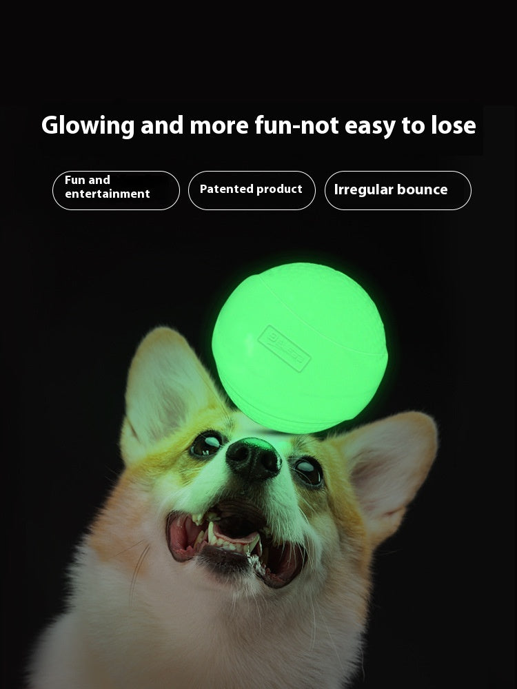 Luminous Rubber Molar Ball Dog Toy