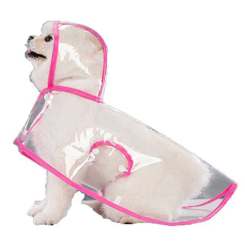 Clear Dog Raincoat with White Trim