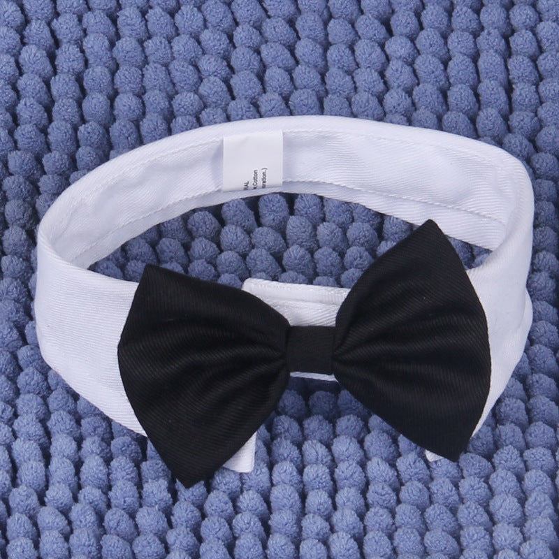 Gentleman Bow Tie Collar for Small and Medium Dogs