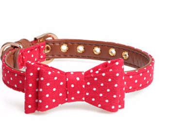 Polka Dot Dog Collar and Leash Set