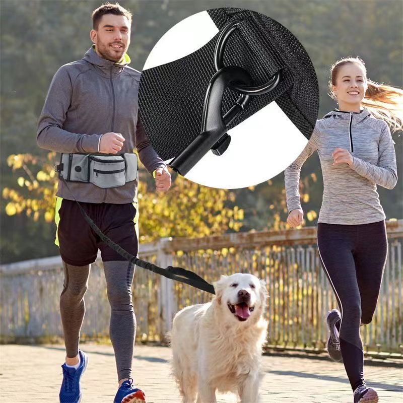 Portable Dog Walking Bag with Waste Picker